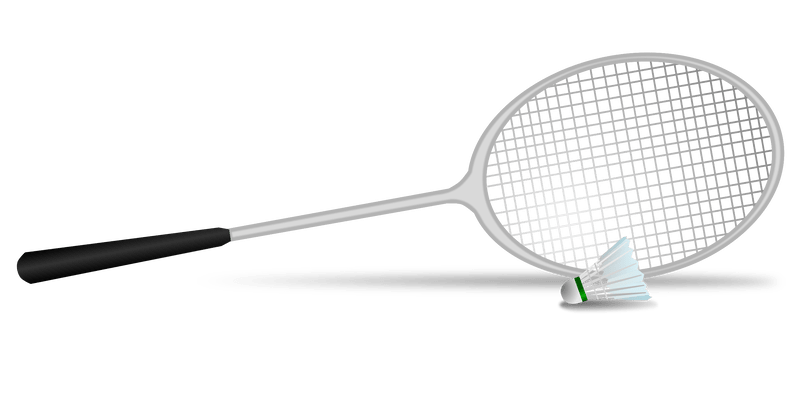 [image of badminton racket]